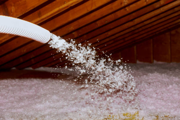 Best Spray Foam Insulation in Eastern Goleta Valley, CA