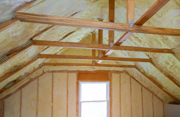 Best Eco-Friendly Insulation in Eastern Goleta Valley, CA