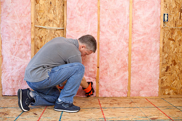 Professional Insulation Contractor in Eastern Goleta Valley, CA